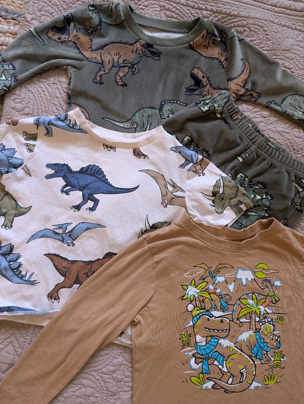 Bundle of kids dinosaur themed clothing